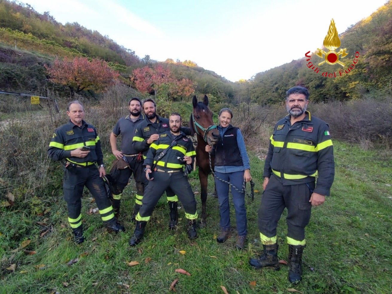 Cavallo Scomparso Un Mese Fa Ritrovato In Un Canalone Dai Vigili Del Fuoco